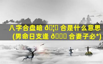 八字合盘暗 🦉 合是什么意思(男命日支逢 🐕 合妻子必*
)